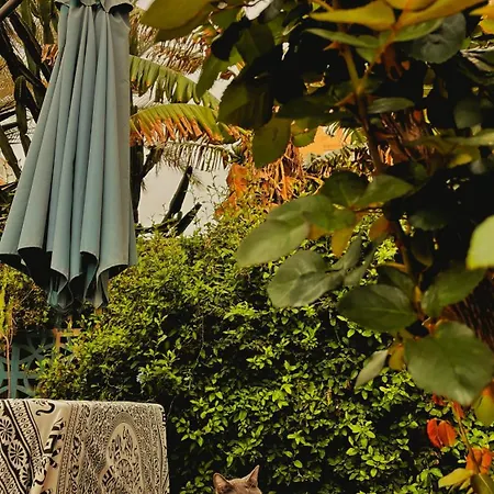 Maison d'hôtes La Pita House